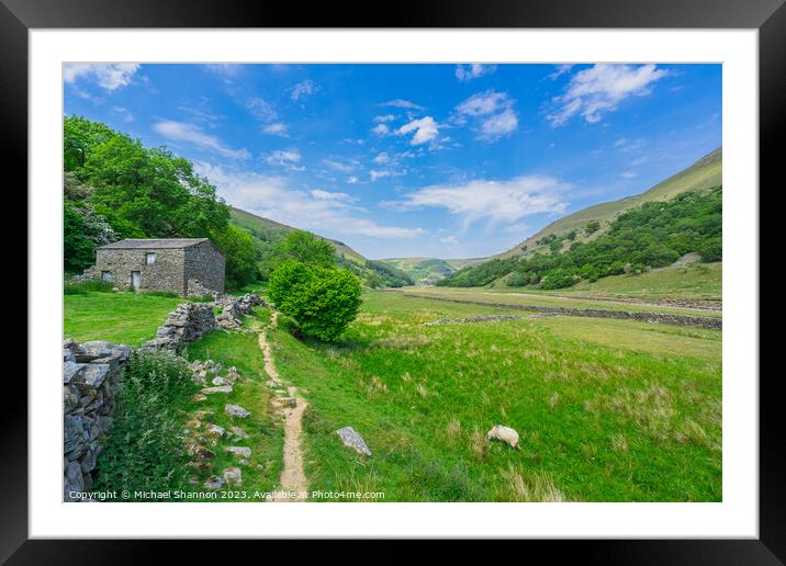 Tranquil Pathway in Swaledale's Breathtaking Lands Framed Mounted Print by Michael Shannon