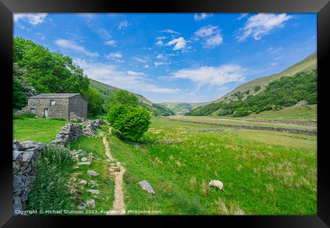 Tranquil Pathway in Swaledale's Breathtaking Lands Framed Print by Michael Shannon