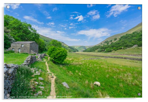 Tranquil Pathway in Swaledale's Breathtaking Lands Acrylic by Michael Shannon