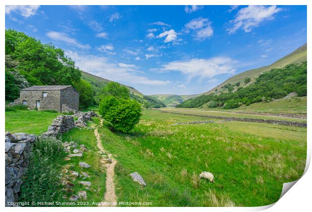 Tranquil Pathway in Swaledale's Breathtaking Lands Print by Michael Shannon