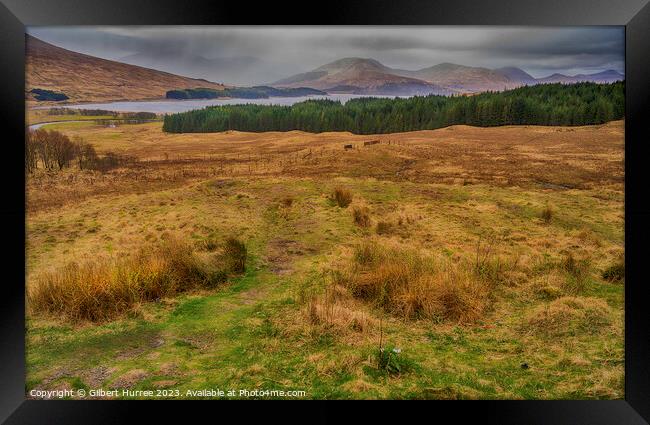 Scotland's Serene Loch Tulla Vista Framed Print by Gilbert Hurree