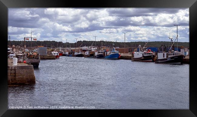 "A Serene Seascape at Burghead Harbour" Framed Print by Tom McPherson