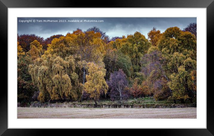 "Autumn's Splendor: A Tapestry of Nature" Framed Mounted Print by Tom McPherson