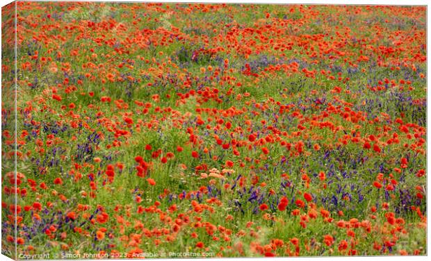 poppy impressionism Canvas Print by Simon Johnson