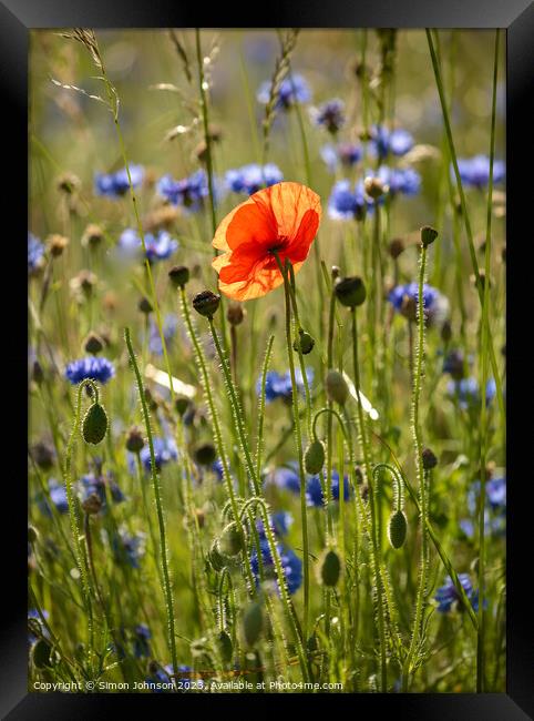 Outdoor field Framed Print by Simon Johnson