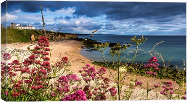 Seaham Beach in Summertime Canvas Print by Tim Hill