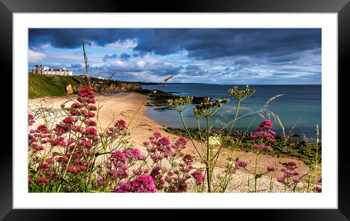 Seaham Beach in Summertime Framed Mounted Print by Tim Hill