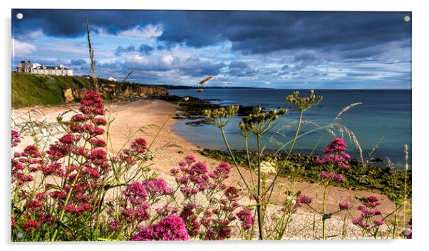 Seaham Beach in Summertime Acrylic by Tim Hill