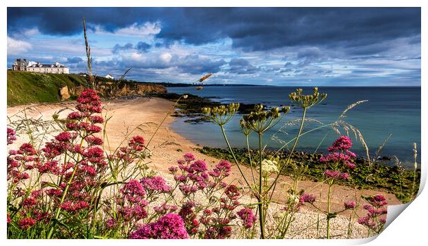 Seaham Beach in Summertime Print by Tim Hill