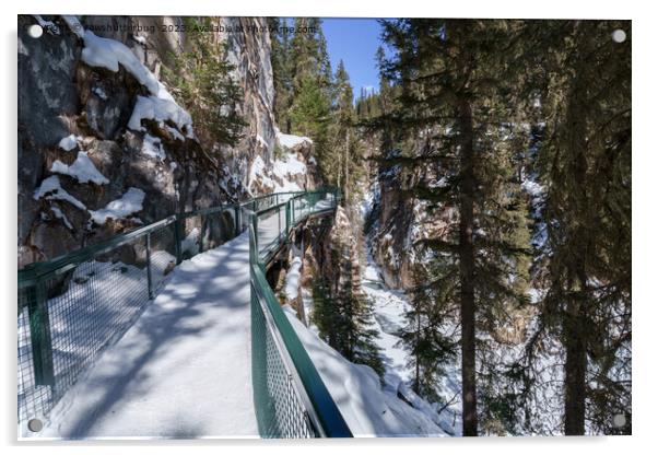 Winter's Frozen Beauty Path to Johnson Creek Upper Acrylic by rawshutterbug 