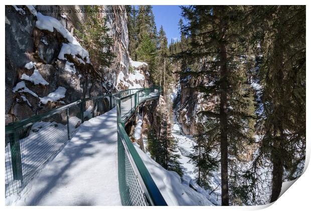 Winter's Frozen Beauty Path to Johnson Creek Upper Print by rawshutterbug 