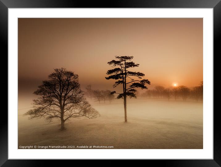Sunrise on misty morning trees Framed Mounted Print by Orange FrameStudio