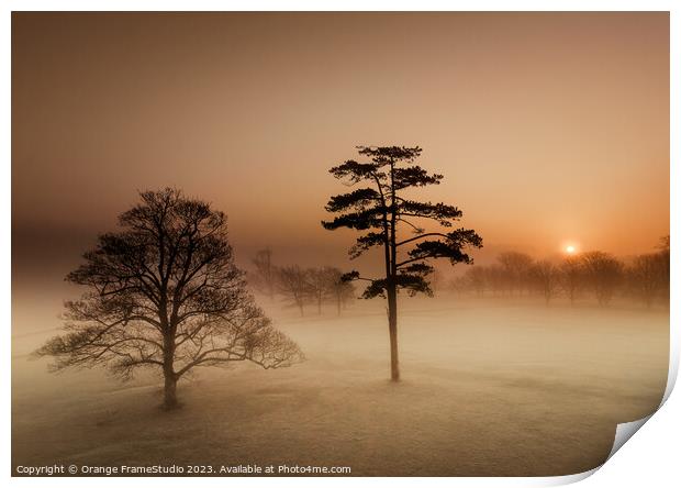 Sunrise on misty morning trees Print by Orange FrameStudio