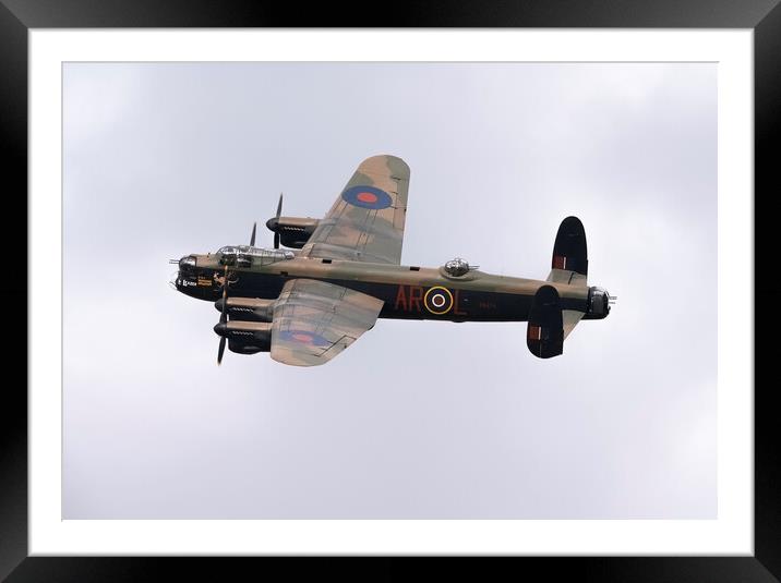 Graceful Guardian of the Skies Framed Mounted Print by Stephen Ward