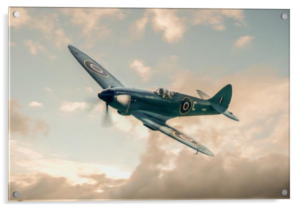 Supermarine Spitfire PR Mk XIX Acrylic by J Biggadike