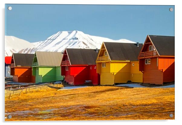 Colourful Houses in Longyearbyen, Arctic Svalbard Acrylic by Martyn Arnold