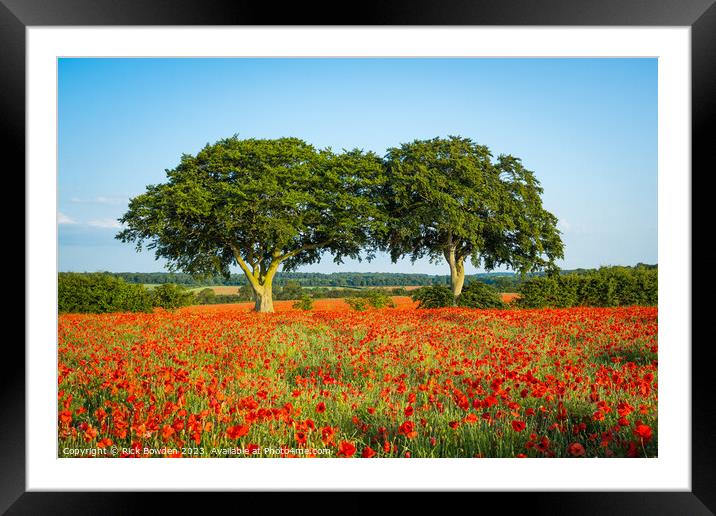 Poppy Trees Framed Mounted Print by Rick Bowden
