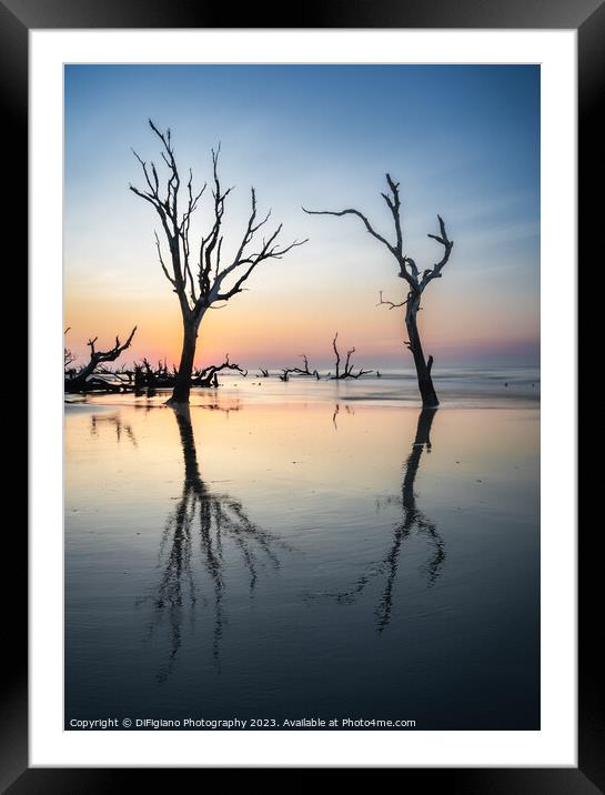 The Boneyard 23/13 Framed Mounted Print by DiFigiano Photography