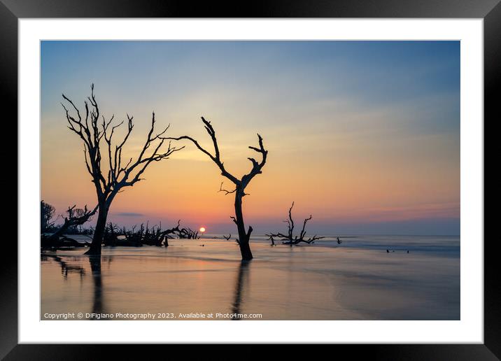 The Boneyard 23/15 Framed Mounted Print by DiFigiano Photography