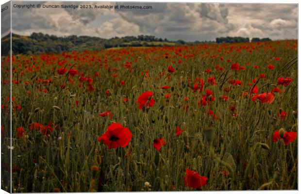 Moody poppy field in the Langridge Valley near Bath Canvas Print by Duncan Savidge