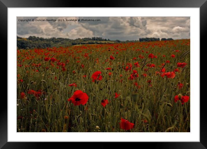 Moody poppy field in the Langridge Valley near Bath Framed Mounted Print by Duncan Savidge