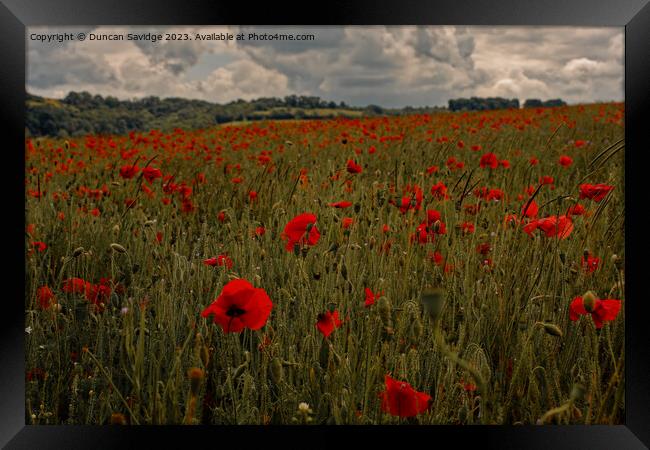 Moody poppy field in the Langridge Valley near Bath Framed Print by Duncan Savidge