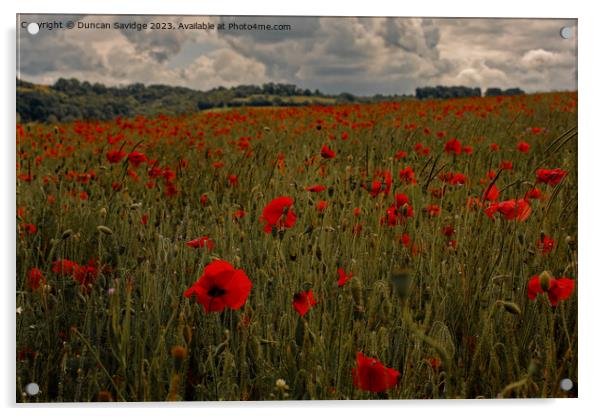 Moody poppy field in the Langridge Valley near Bath Acrylic by Duncan Savidge