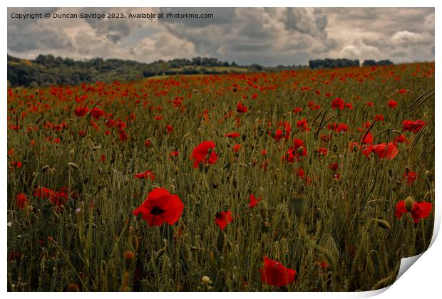 Moody poppy field in the Langridge Valley near Bath Print by Duncan Savidge