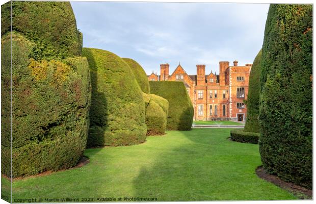 Ancient yew topiary at York University, Heslington Hall Canvas Print by Martin Williams
