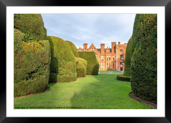 Ancient yew topiary at York University, Heslington Hall Framed Mounted Print by Martin Williams