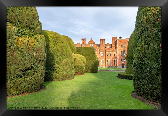 Ancient yew topiary at York University, Heslington Hall Framed Print by Martin Williams
