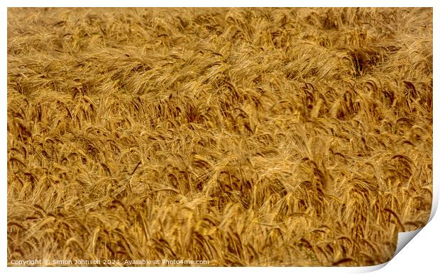 wind blown wheat Print by Simon Johnson