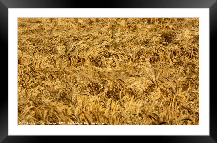 wheat field Framed Mounted Print by Simon Johnson