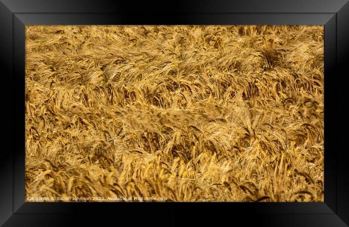 wheat field Framed Print by Simon Johnson