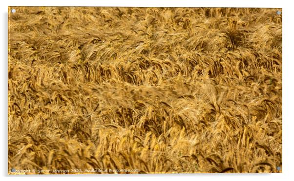 wheat field Acrylic by Simon Johnson