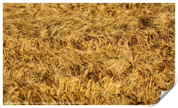 wheat field Print by Simon Johnson