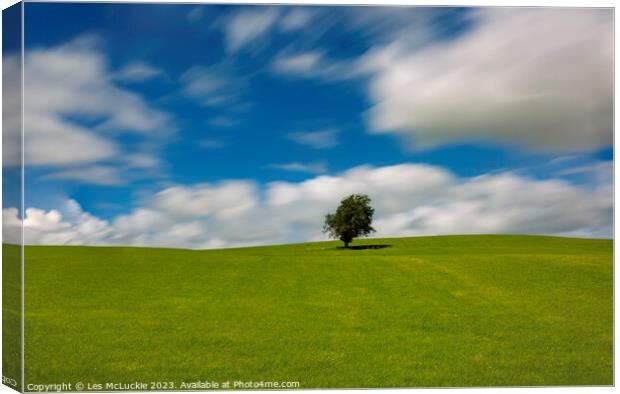 Lone Tree and an Outdoor field Canvas Print by Les McLuckie