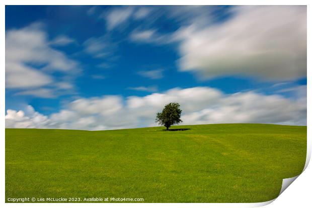 Lone Tree and an Outdoor field Print by Les McLuckie