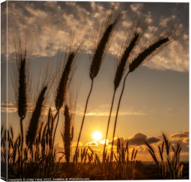 Sunset Over A Farmers Field. Canvas Print by Craig Yates