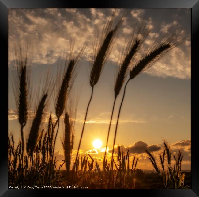 Sunset Over A Farmers Field. Framed Print by Craig Yates