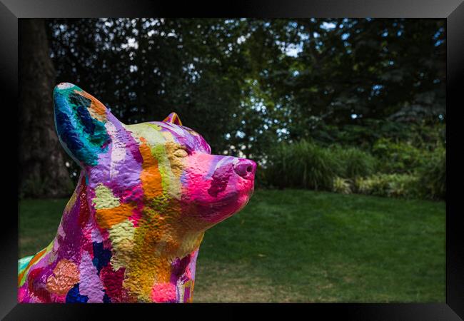 Multi coloured Corgi dog Framed Print by Jason Wells