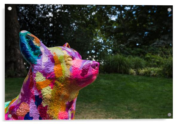 Multi coloured Corgi dog Acrylic by Jason Wells