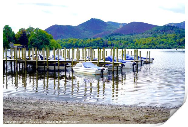 Serene Pillars Embracing Dewentwater's Symphony Print by john hill