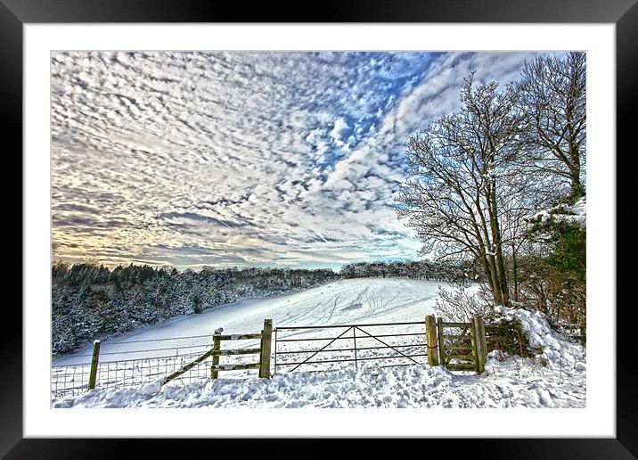 Snowy landscape Framed Mounted Print by Tony Bates