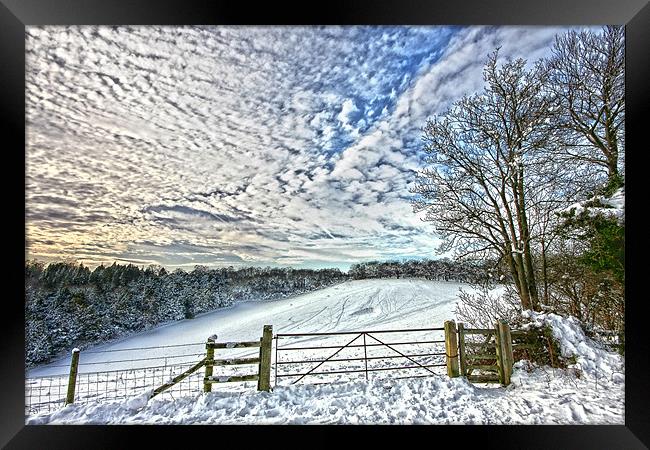 Snowy landscape Framed Print by Tony Bates