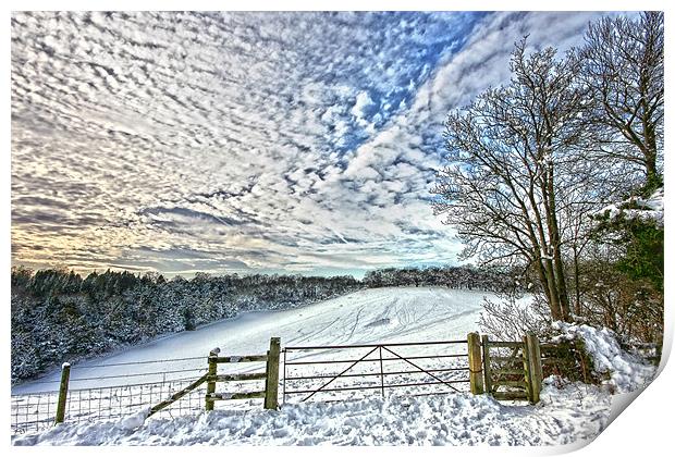 Snowy landscape Print by Tony Bates