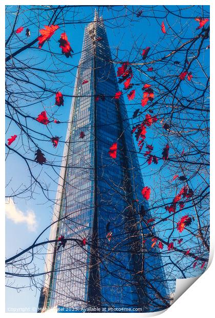 The Shard tower in London framed through branches and autumn leaves Print by Mehul Patel