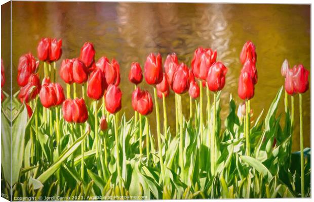 The scarlet splendor of the tulip - CR2305-9183-OI Canvas Print by Jordi Carrio