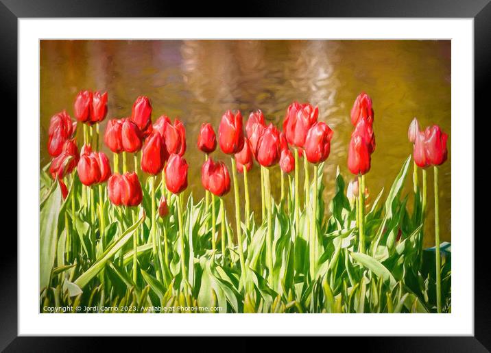 The scarlet splendor of the tulip - CR2305-9183-OI Framed Mounted Print by Jordi Carrio