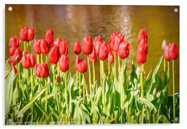 The scarlet splendor of the tulip - CR2305-9183-OI Acrylic by Jordi Carrio